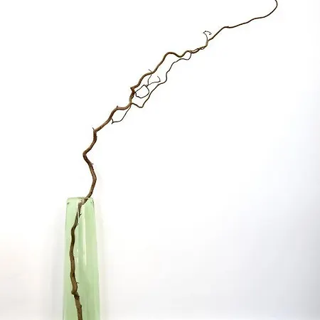 Centre D'antibes - 2 Chambres Avec Parking Appartement Antibes