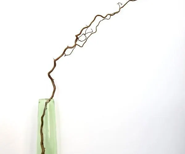 Centre D'antibes - 2 Chambres Avec Parking Daire Antibes